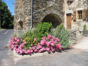 Massif fleuri à  Laroque (47)