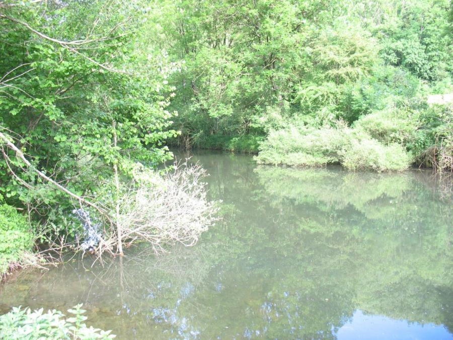 Les rives de la Nuéjouls - Fayet (6)