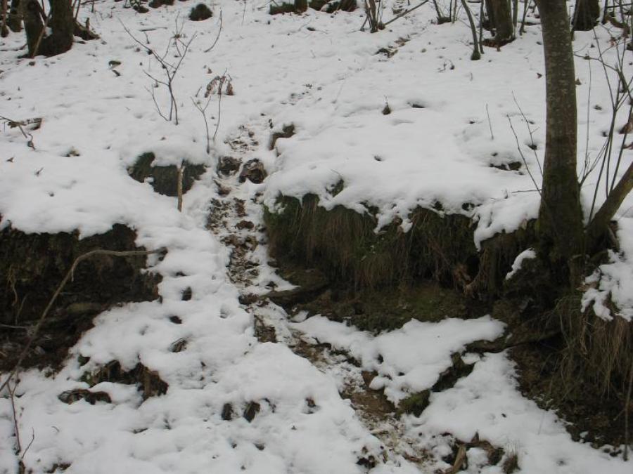Sur les traces des animaux sauvages à Fayet (18)