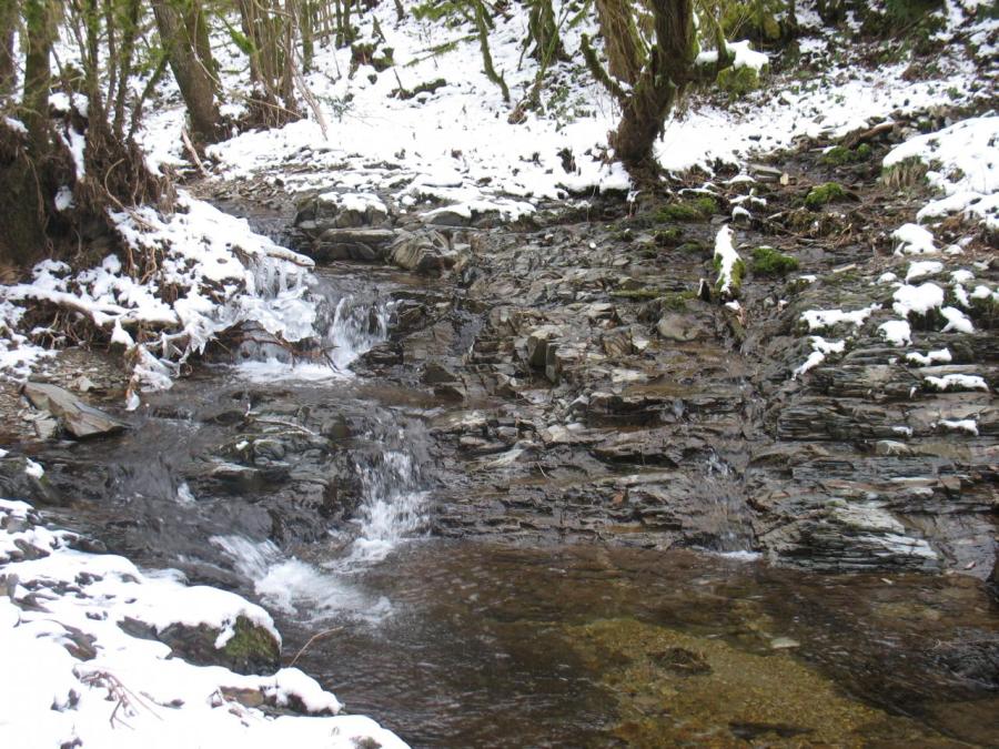 Un ruisseau à Fayet (13)