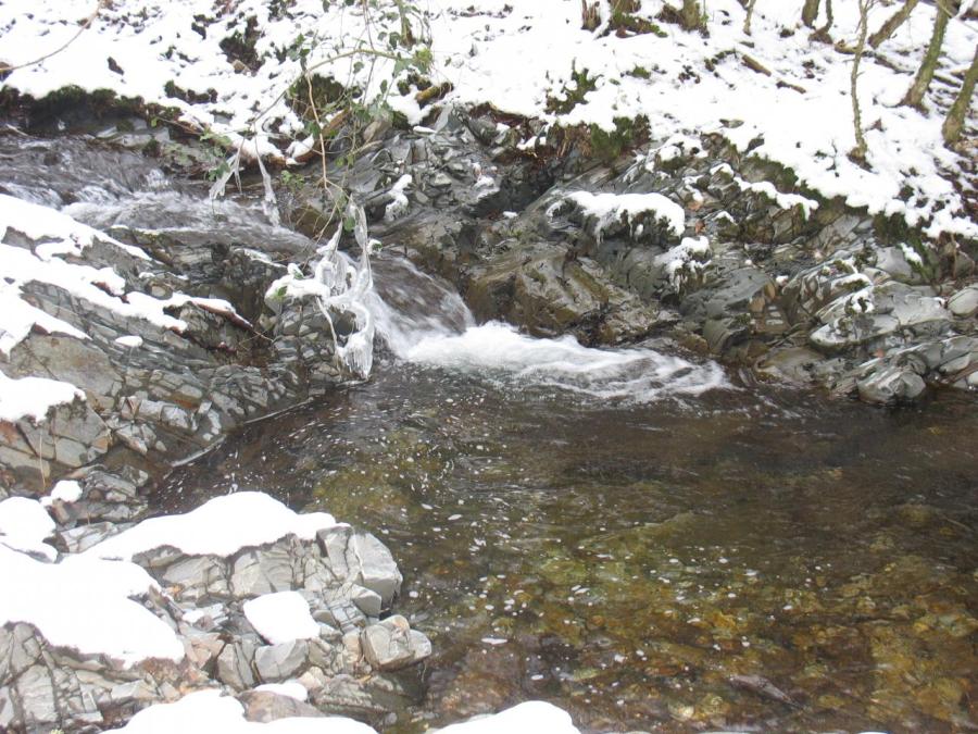 Un ruisseau à Fayet (14)