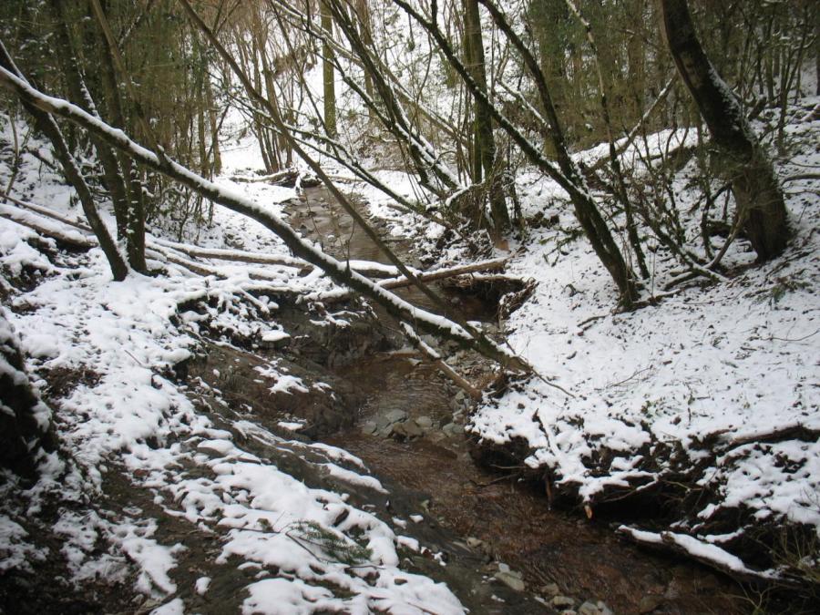 Un ruisseau à Fayet (7)