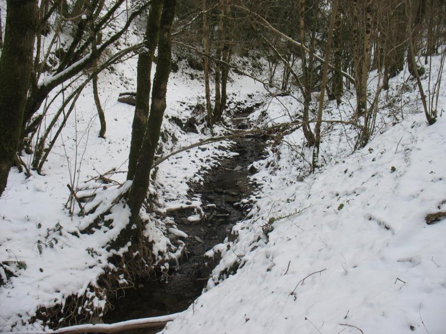Un ruisseau à Fayet (9)