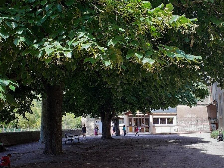 École des tilleuls - Fayet (114)