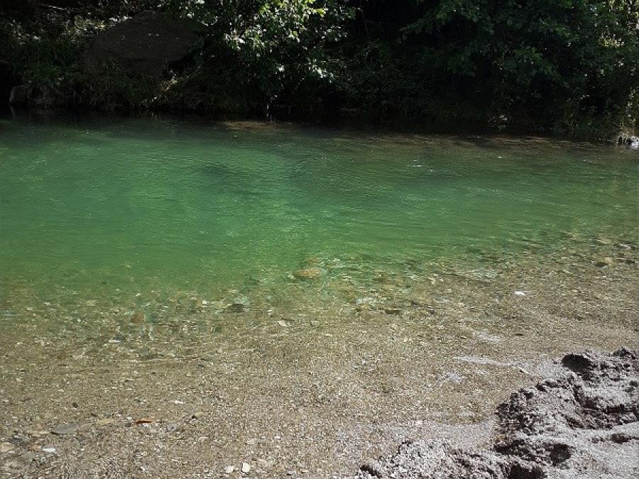 Le camping - Fayet (135)