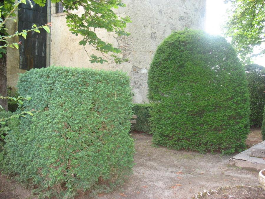 Intérieur jardin public - Fayet (46)