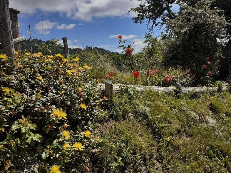 La Borie (25)