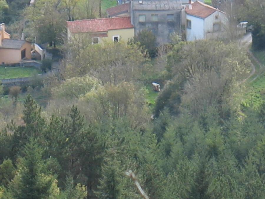 La Graverie (16)