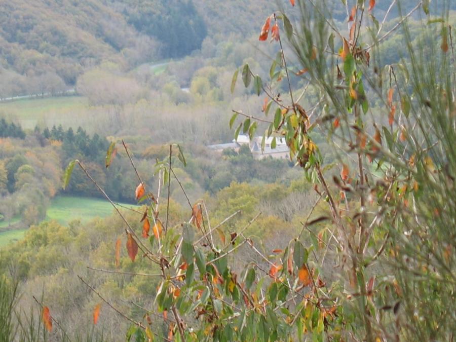 Le château - Fayet (78)