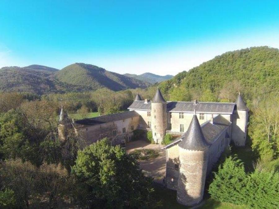 Le château - Fayet (79)