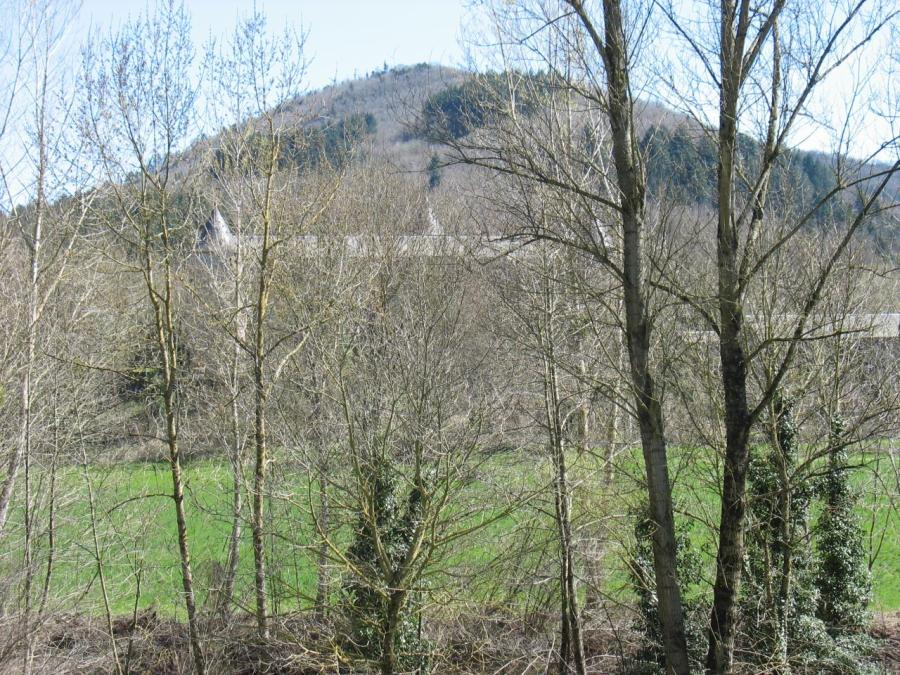 Le château - Fayet (81)