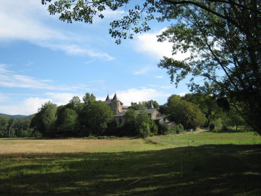 Le château - Fayet (85)