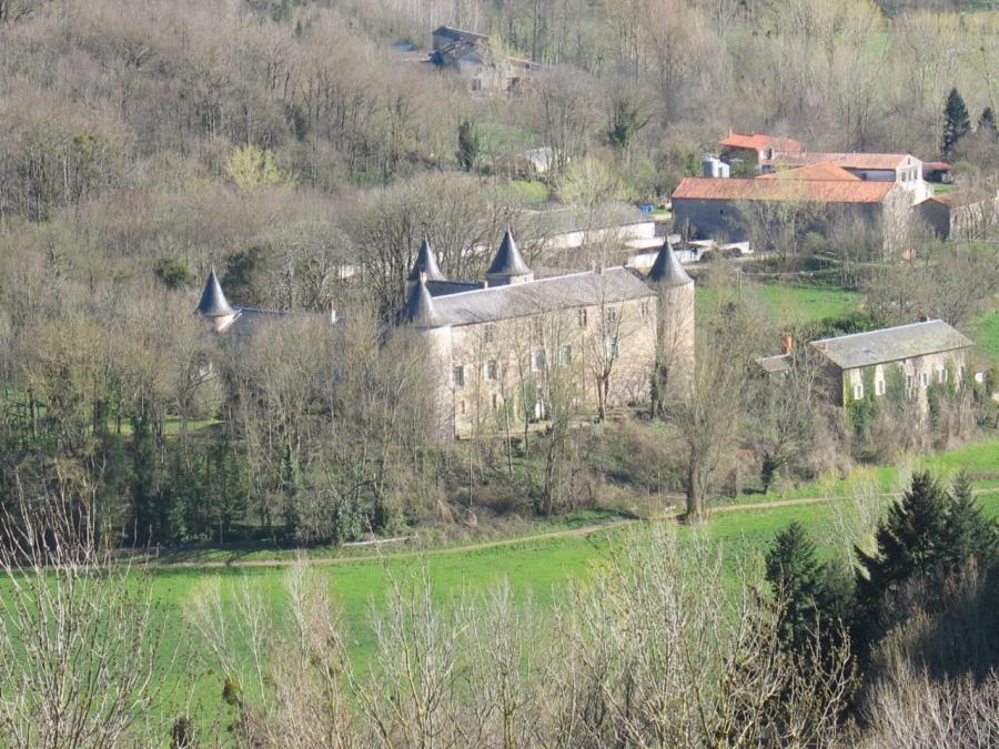 Le château vue depuis le pic de Roste - Fayet (84)