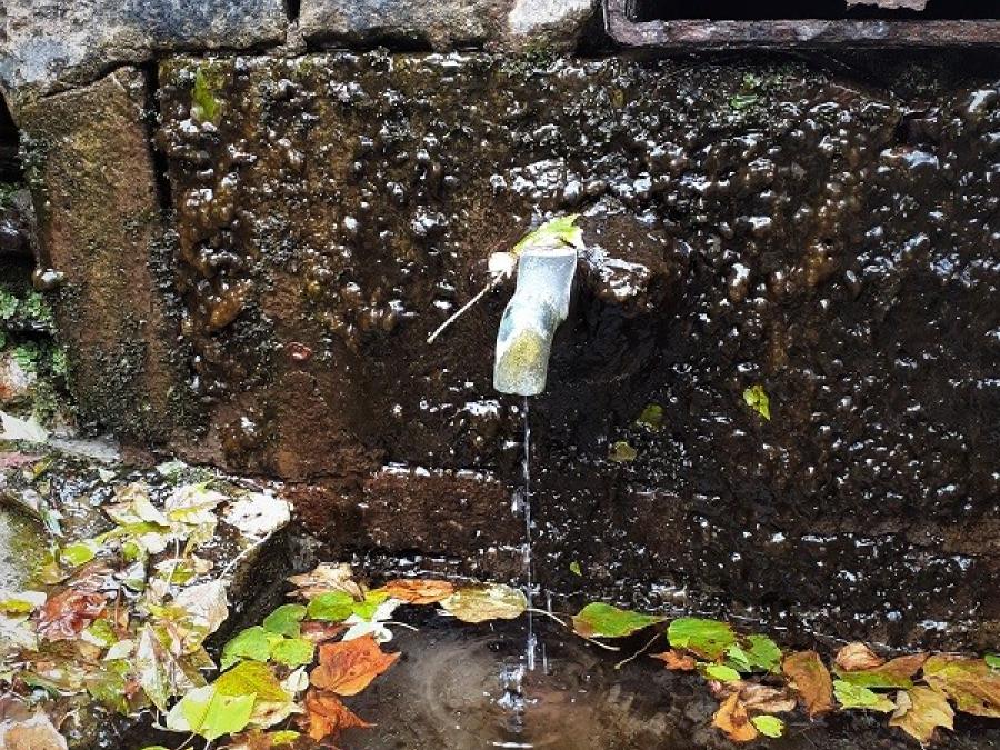 La source - Fayet (118)