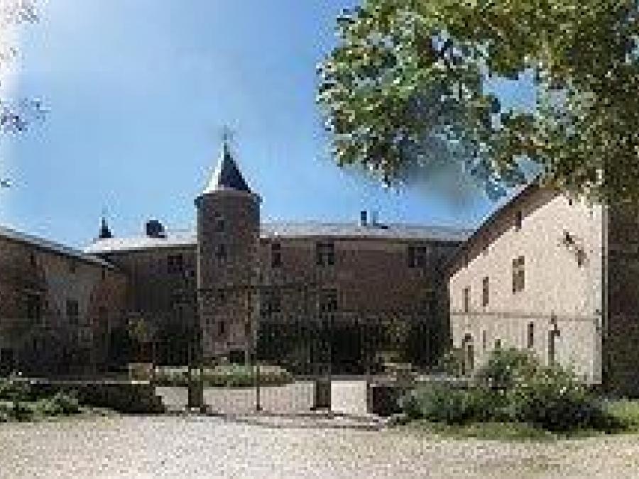Vue d'ensemble - le château - Fayet (86)
