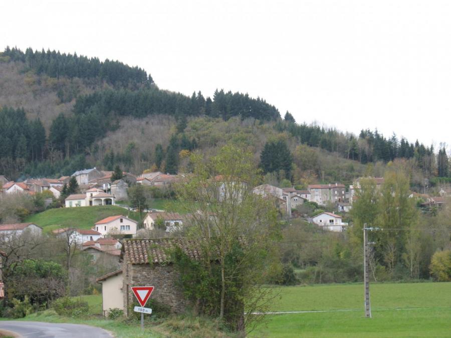 Vue générale de Fayet (19)